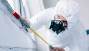 Best Pest Prevention Services  in Vandenberg Village, CA